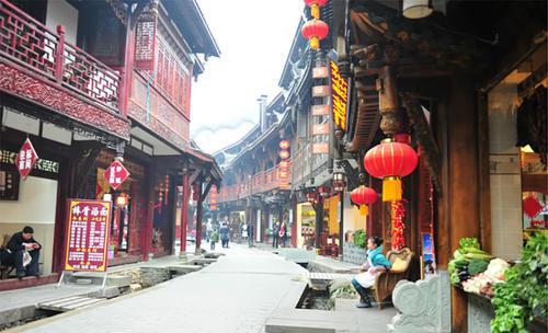 动物帮帮忙保卫家园